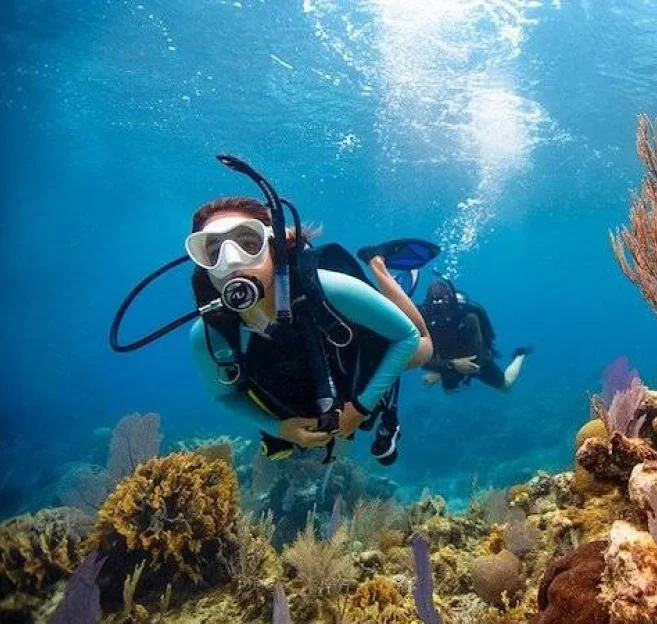 Divers submerging through the coral reefs